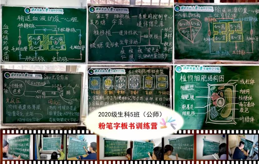 说明:C:\Users\Zhou Feng\Desktop\新建文件夹 (3)\11.jpg